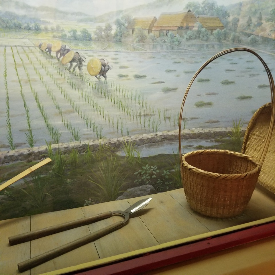 世界一周 アメリカ ニューヨーク観光 その２ グローバル ゴリラとヒキメガネの冒険