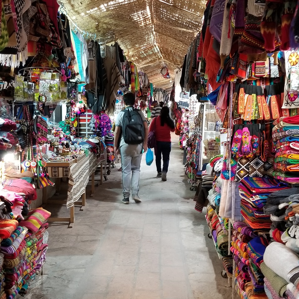 世界一周 チリ サン ペドロ アタカマ観光 グローバル ゴリラとヒキメガネの冒険